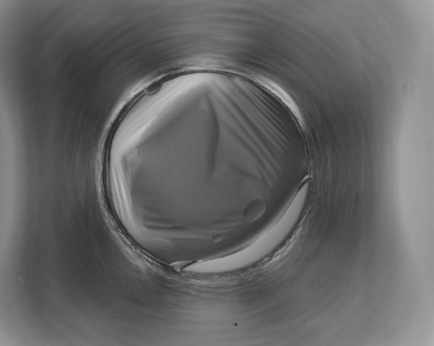 X0000113051146200909171536