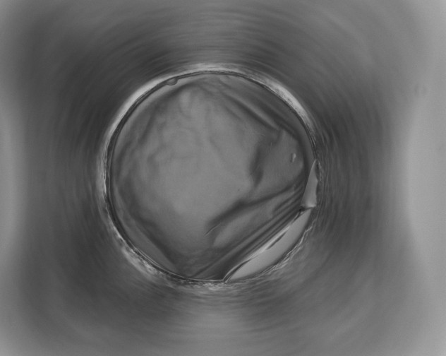 X0000113051148200909171536