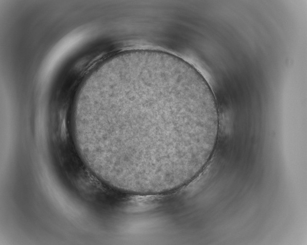 X0000113051150200909171536