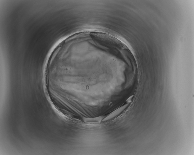 X0000113051152200909171536