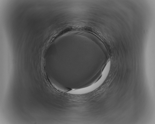 X0000113051153200909171535