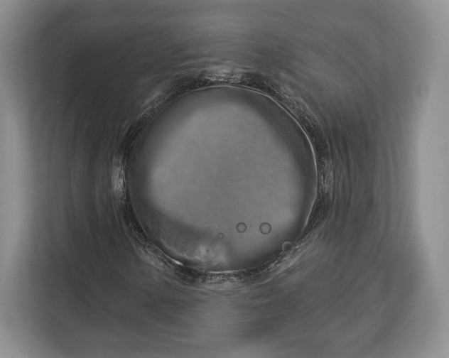 X0000113051154200909171535