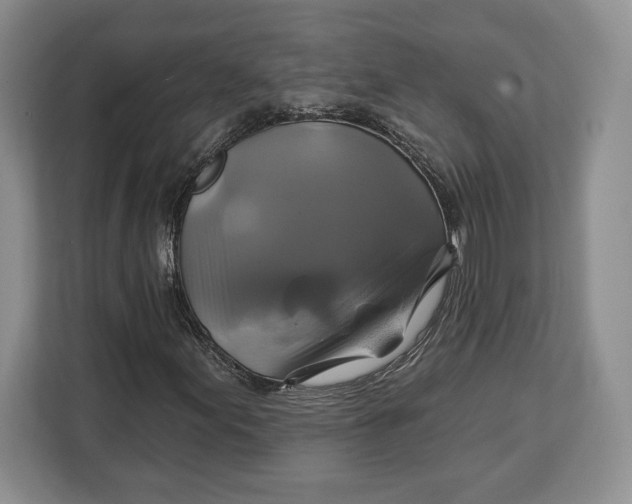 X0000113051155200909171535