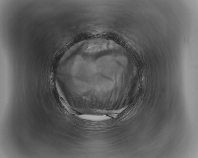 X0000113051156200909171535