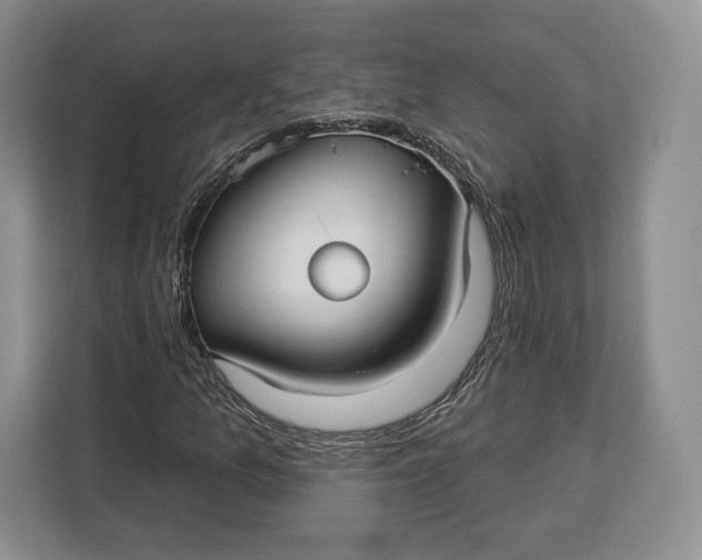 X0000113051157200909171535