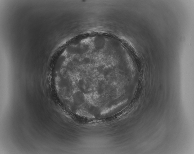 X0000113051159200909171535