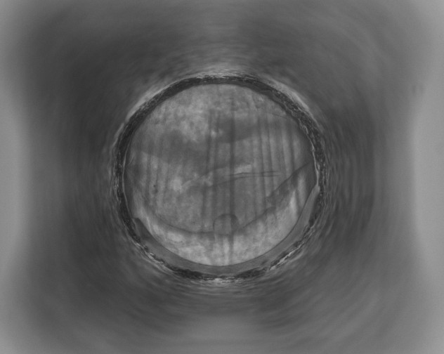 X0000113051160200909171535