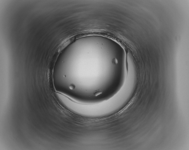 X0000113051161200909171535