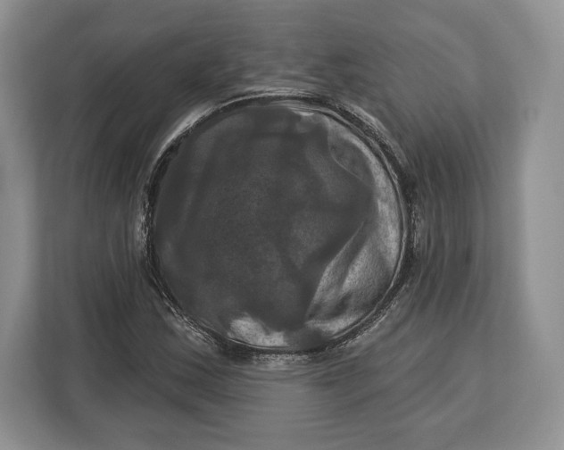 X0000113051163200909171535