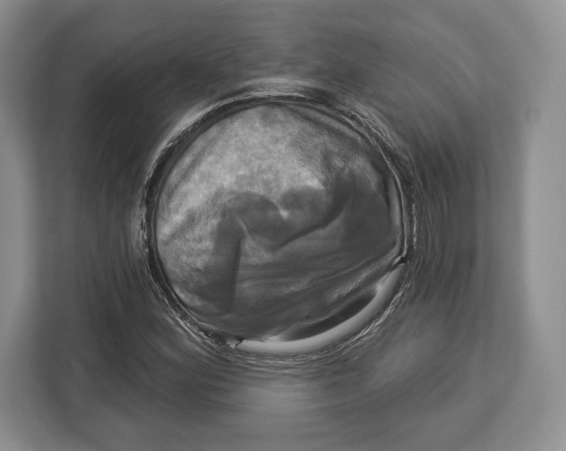 X0000113051164200909171535