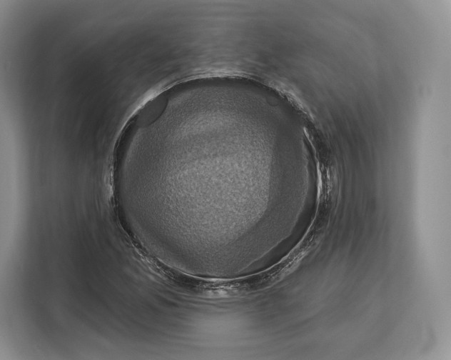 X0000113051165200909171535