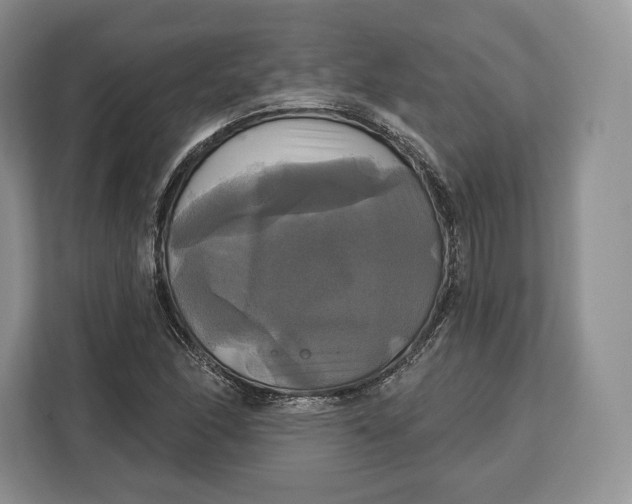 X0000113051166200909171535