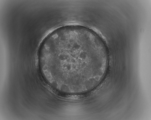 X0000113051167200909171535