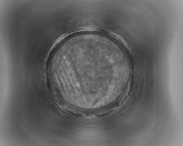 X0000113051168200909171535