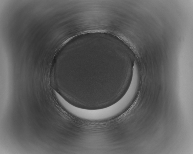 X0000113051169200909171535