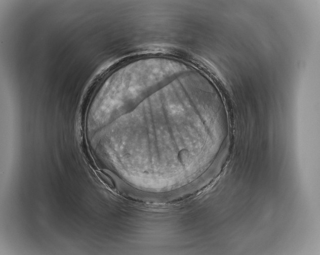 X0000113051172200909171535