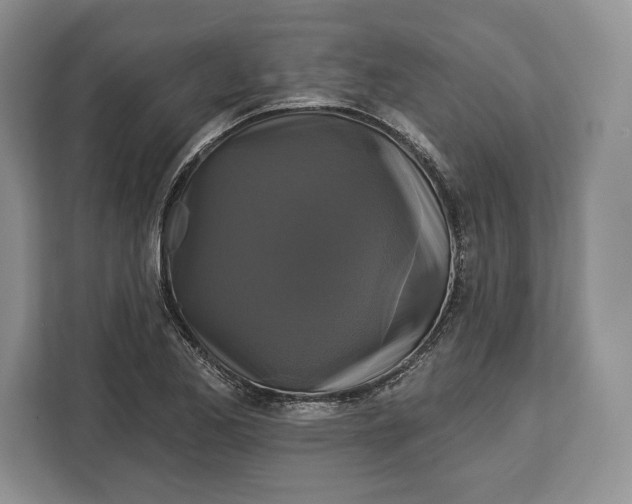 X0000113051173200909171535