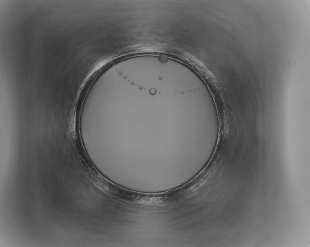 X0000113051174200909171535