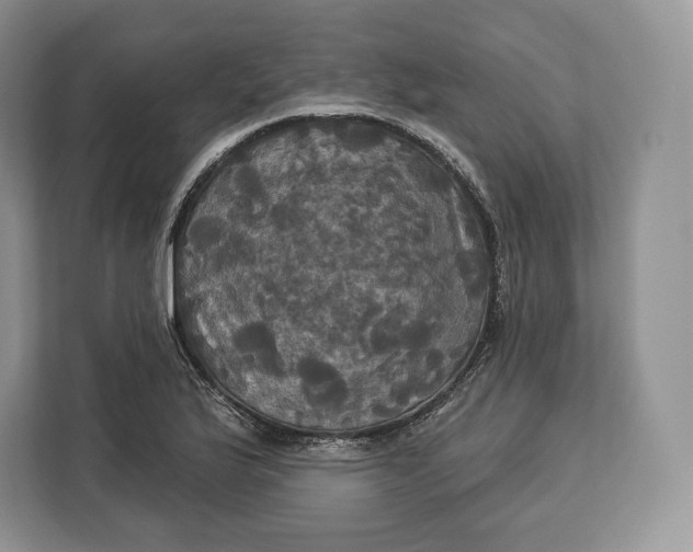 X0000113051175200909171535