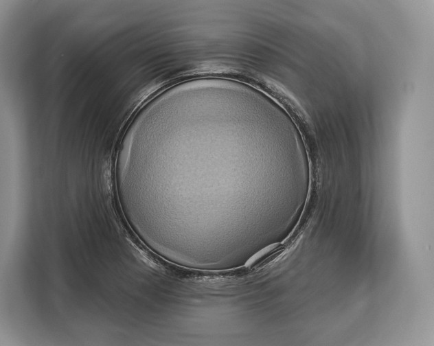 X0000113051177200909171535