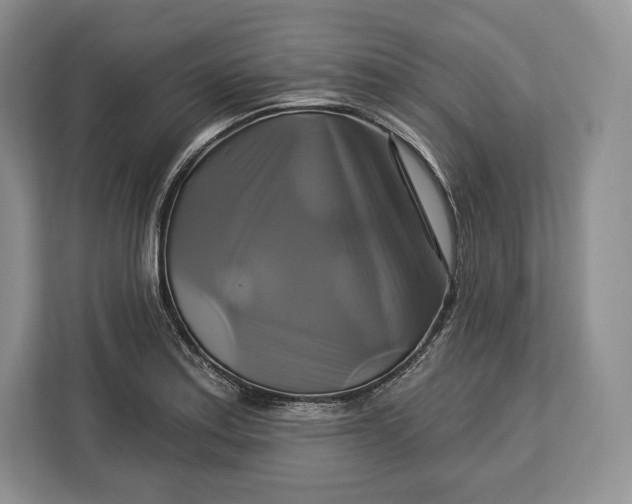 X0000113051179200909171535