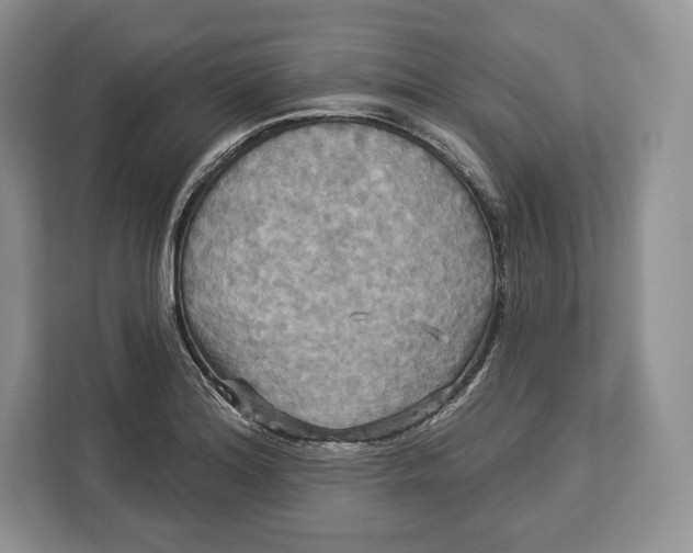 X0000113051180200909171535