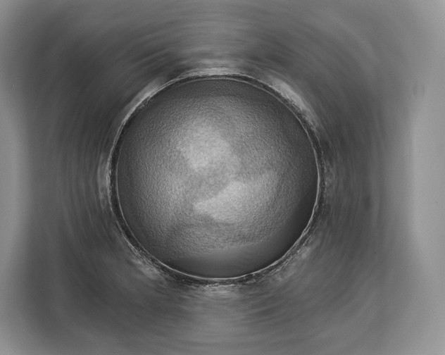 X0000113051181200909171535