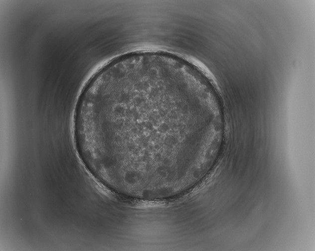 X0000113051183200909171535