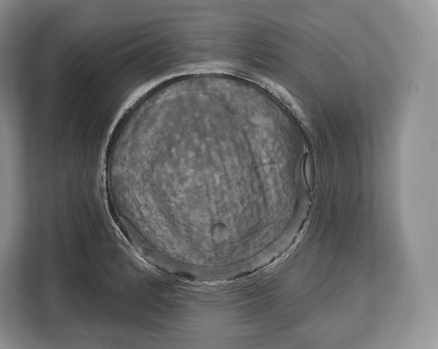 X0000113051184200909171535