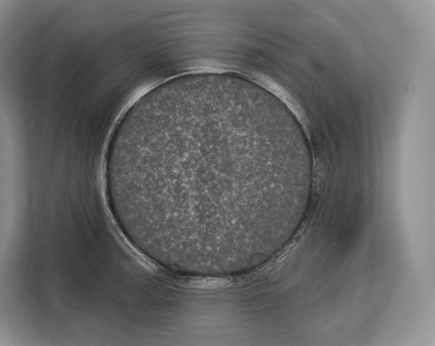 X0000113051187200909171535