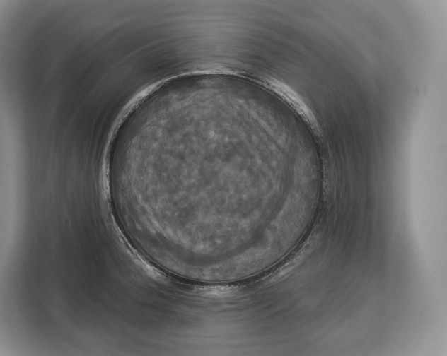 X0000113051188200909171535