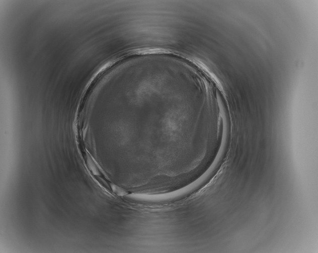 X0000113051189200909171535