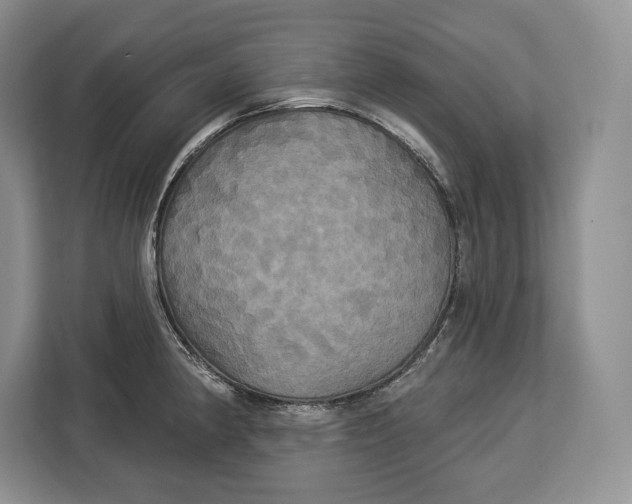 X0000113051190200909171535