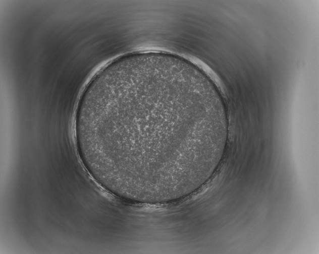 X0000113051191200909171535