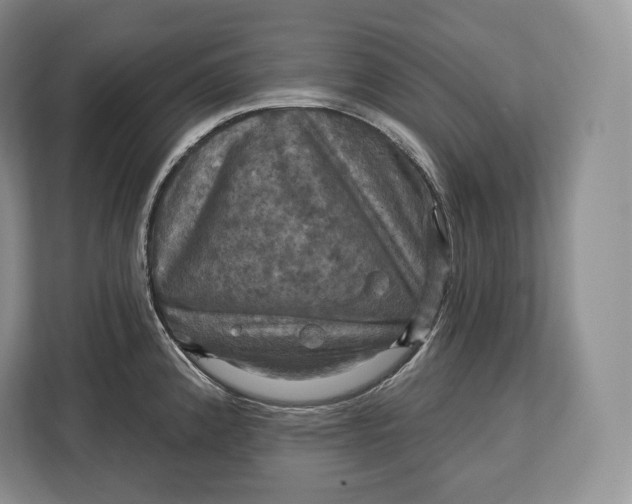 X0000113051192200909171535