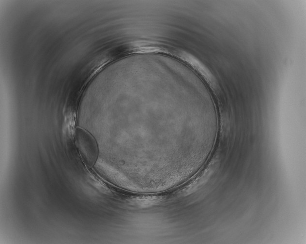 X0000113051193200909171535