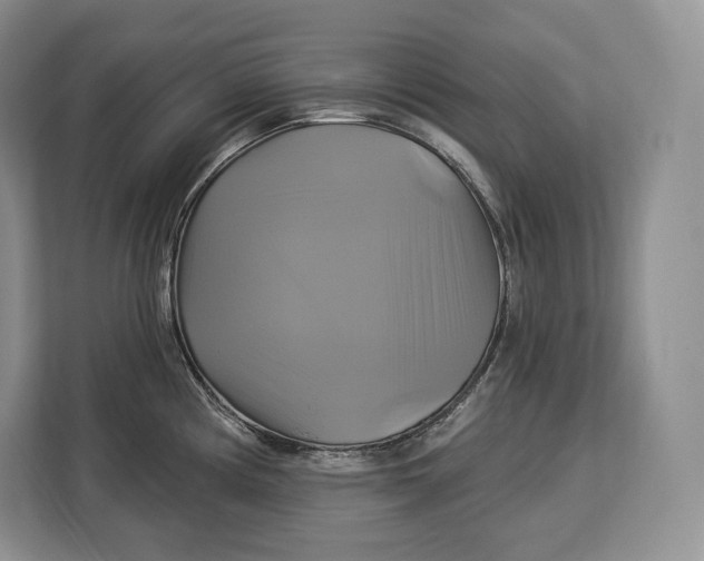 X0000113051194200909171535