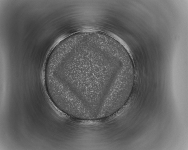 X0000113051195200909171535