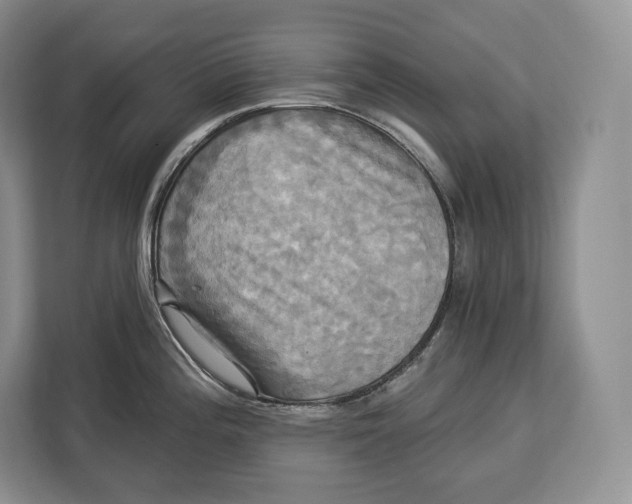 X0000113051196200909171535