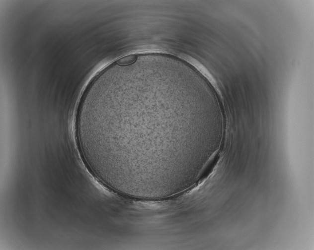 X0000113051197200909171535