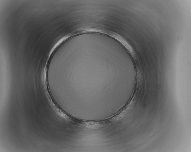 X0000113051198200909171535