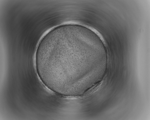 X0000113051199200909171535