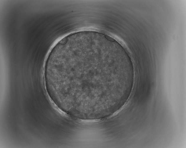 X0000113051200200909171535