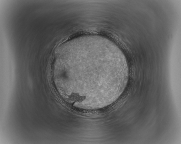 X0000113051201200909171534