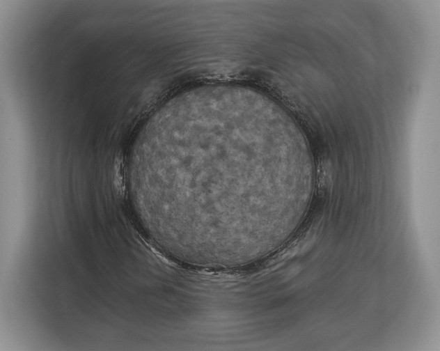 X0000113051202200909171534