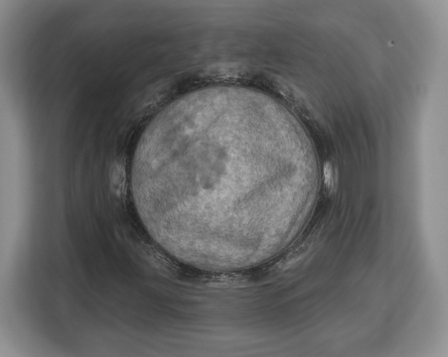 X0000113051203200909171534