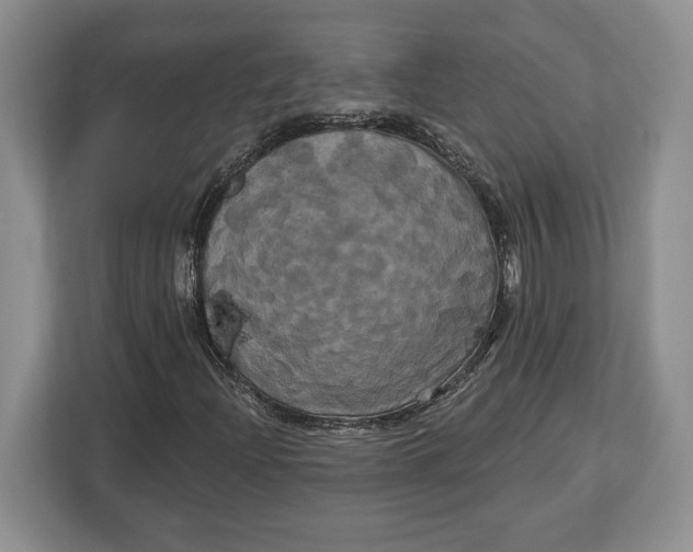 X0000113051204200909171534