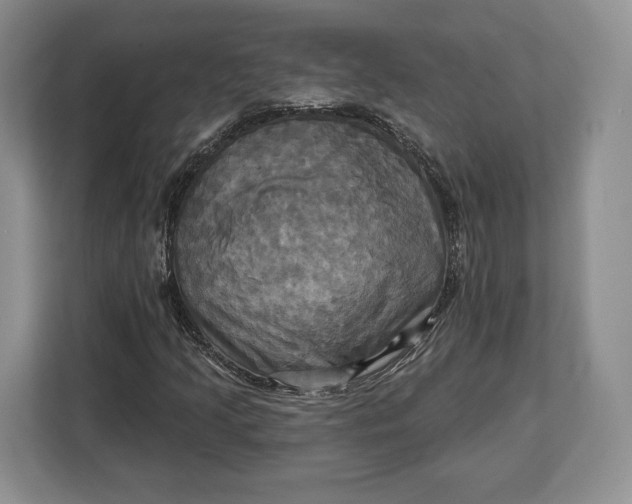 X0000113051205200909171534