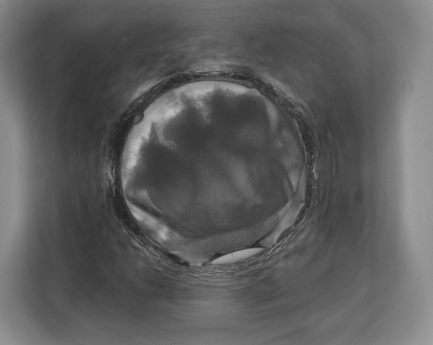 X0000113051206200909171534