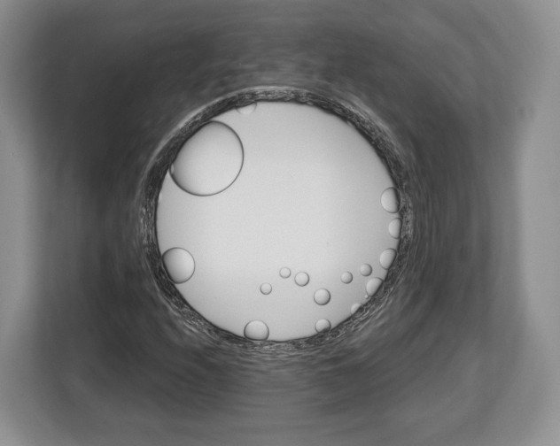 X0000113051208200909171534